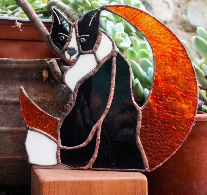 Gato Luna Cobriza